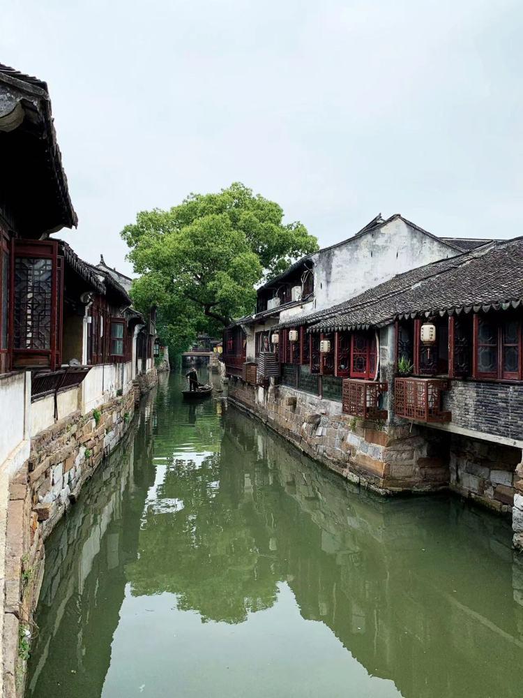 我被抽去流调怎么问答对方，对方才不会恐慌？游戏画面